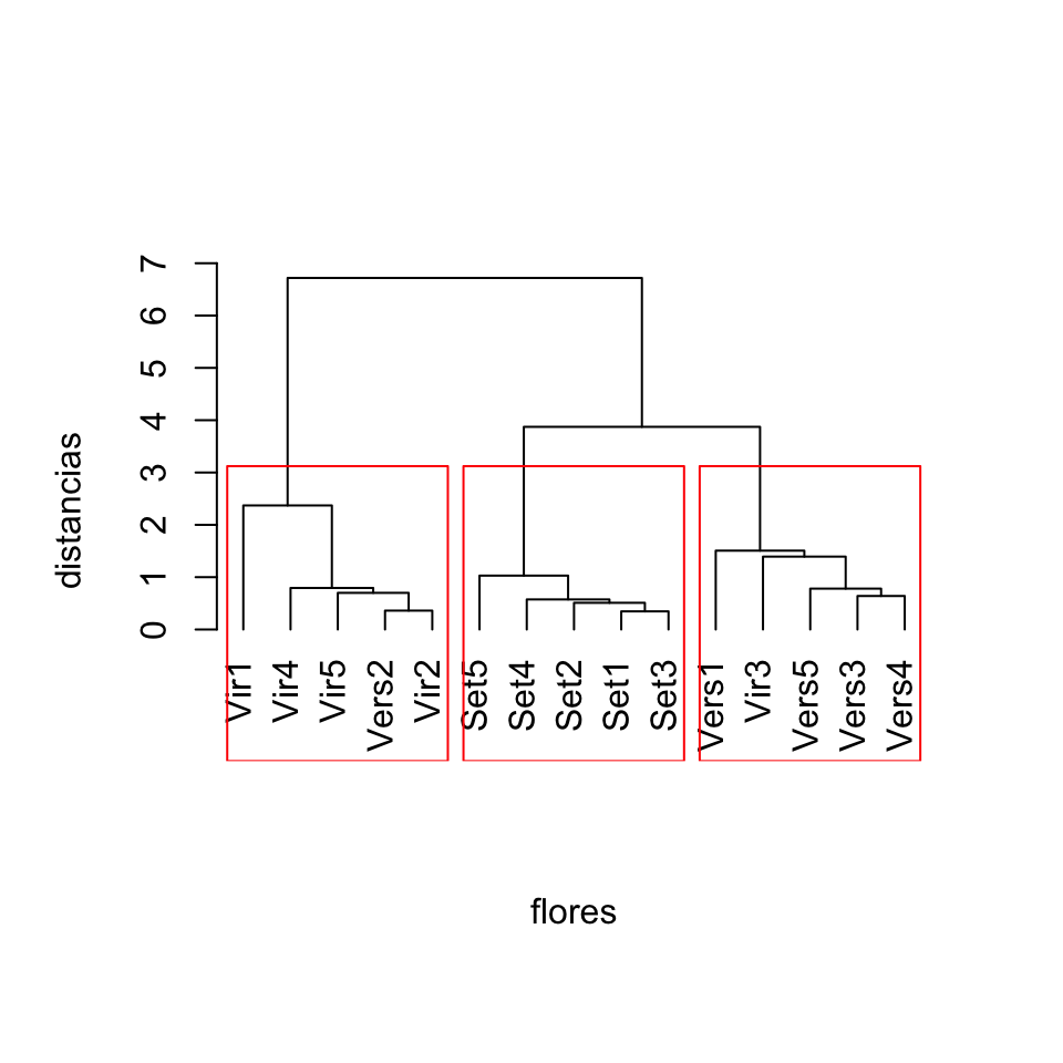 Clustering de 15 flores de iris a partir de su dendrograma calculado con el método de enlace  completo, cortándolo a altura 3.